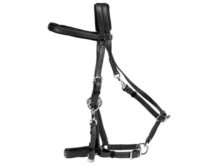 Horse Sense Endurance Bridle