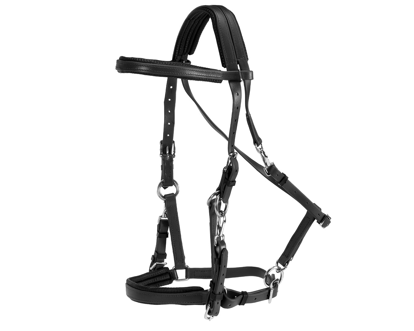 Horse Sense Endurance Bridle