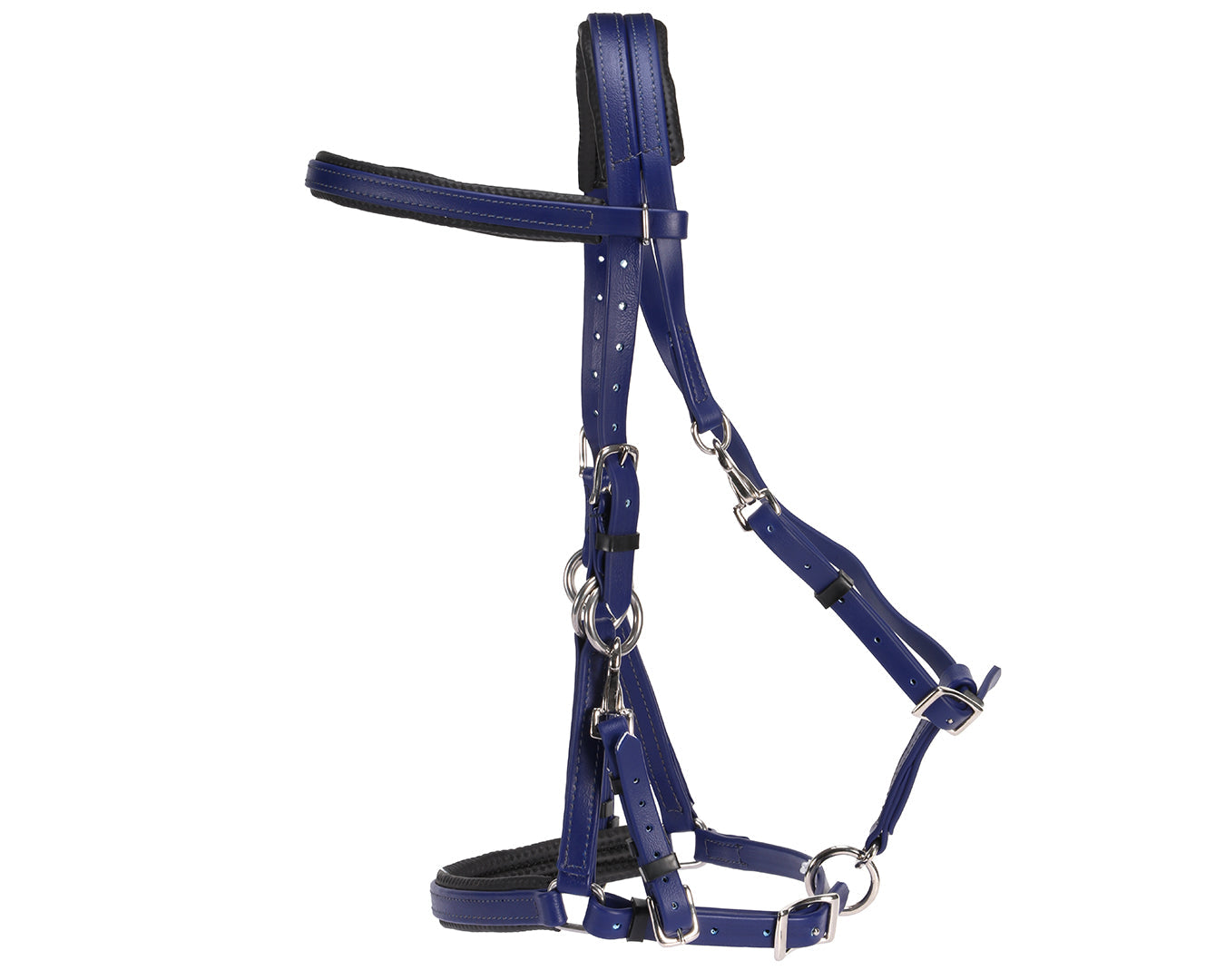 Horse Sense Endurance Bridle