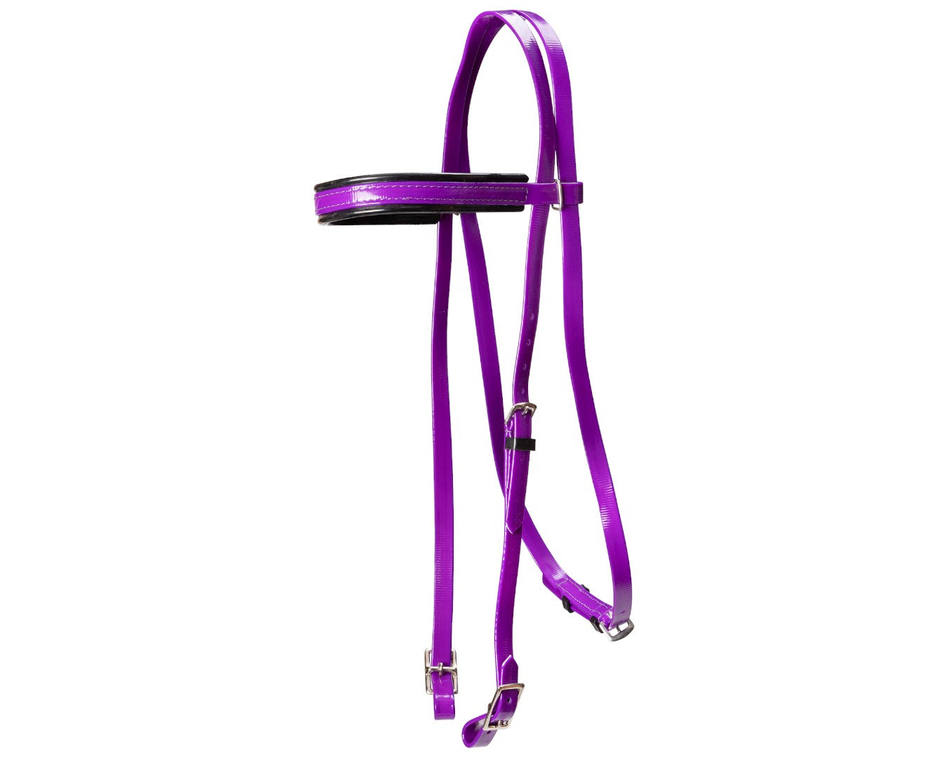 Horse Sense Y-Line Pony Club Bridle Head