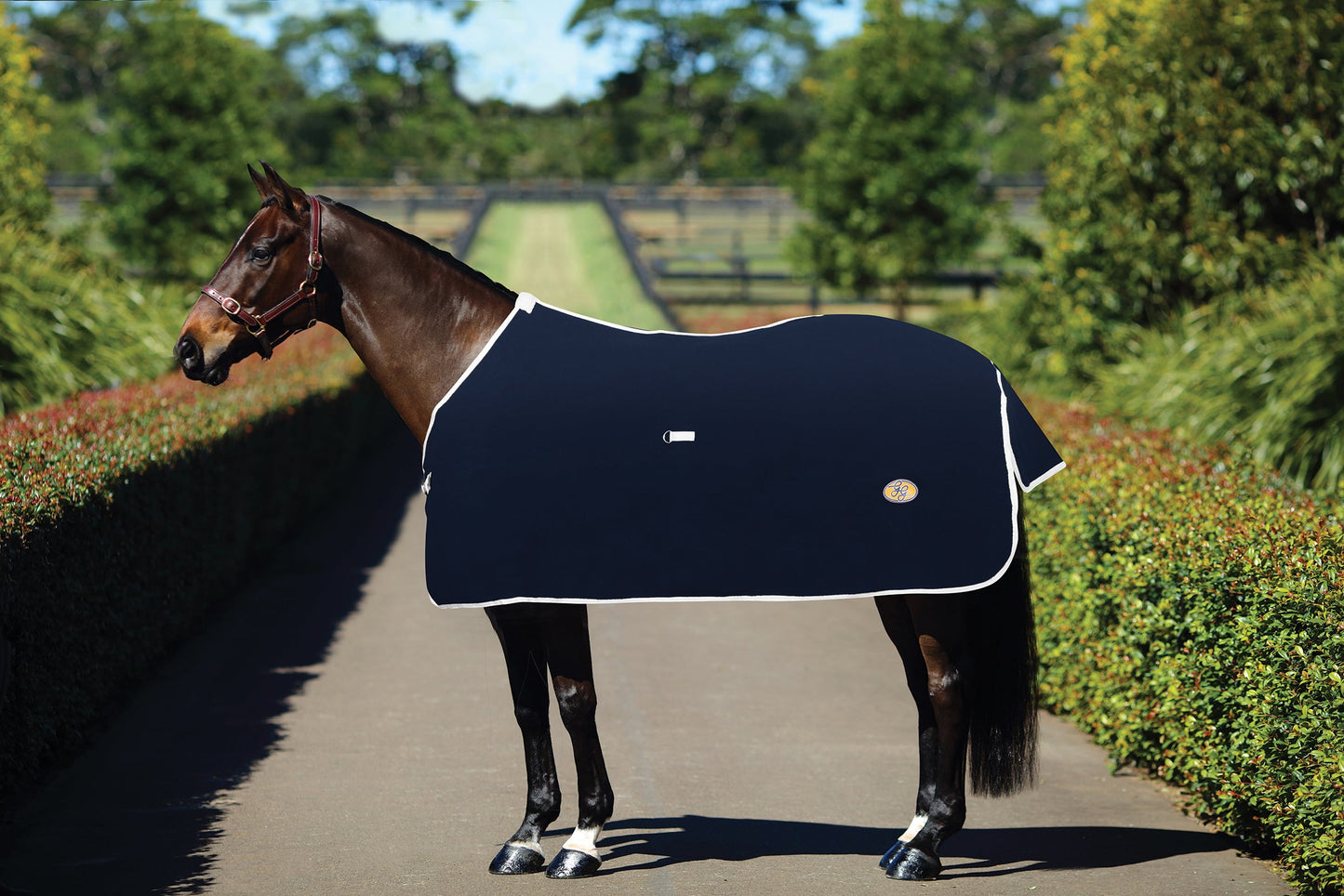 GG Australia Wool Kersey Horse Rug