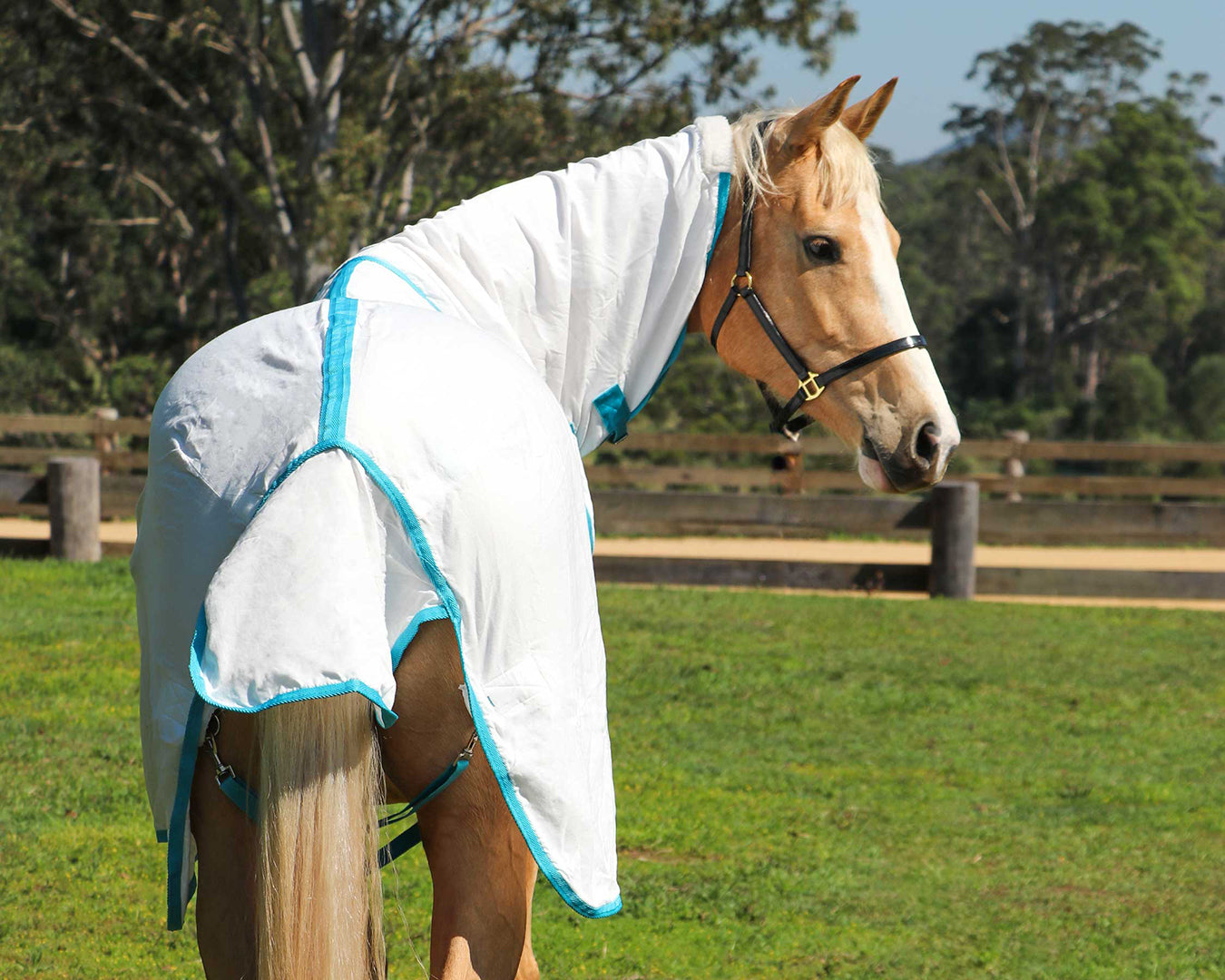 Kool Master Flag Horse Rug Combo - White & Turquoise