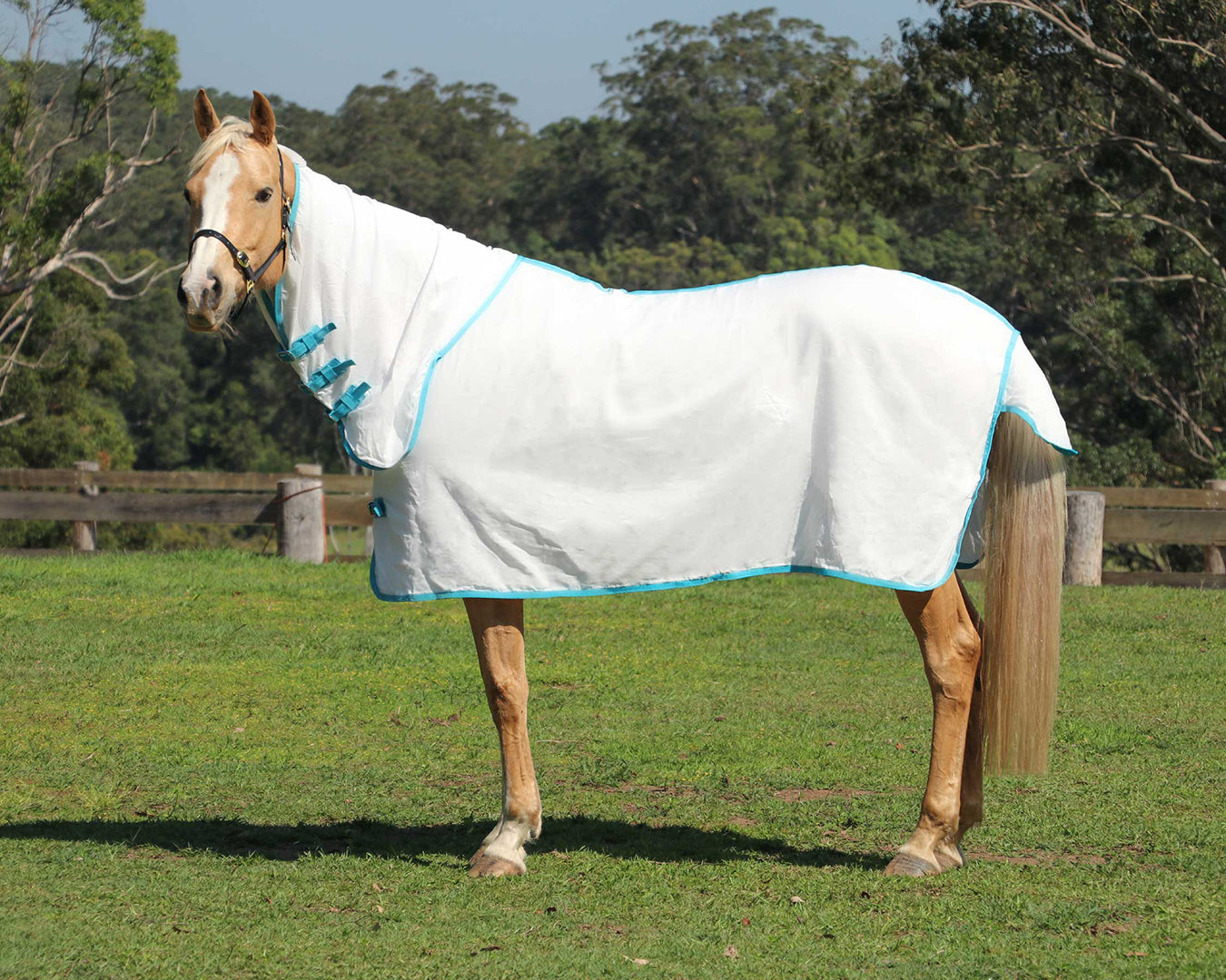 Kool Master Flag Horse Rug Combo - White & Turquoise