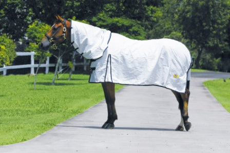 GG Australia Tear-Stop Horse Rug Combo - White w/Navy