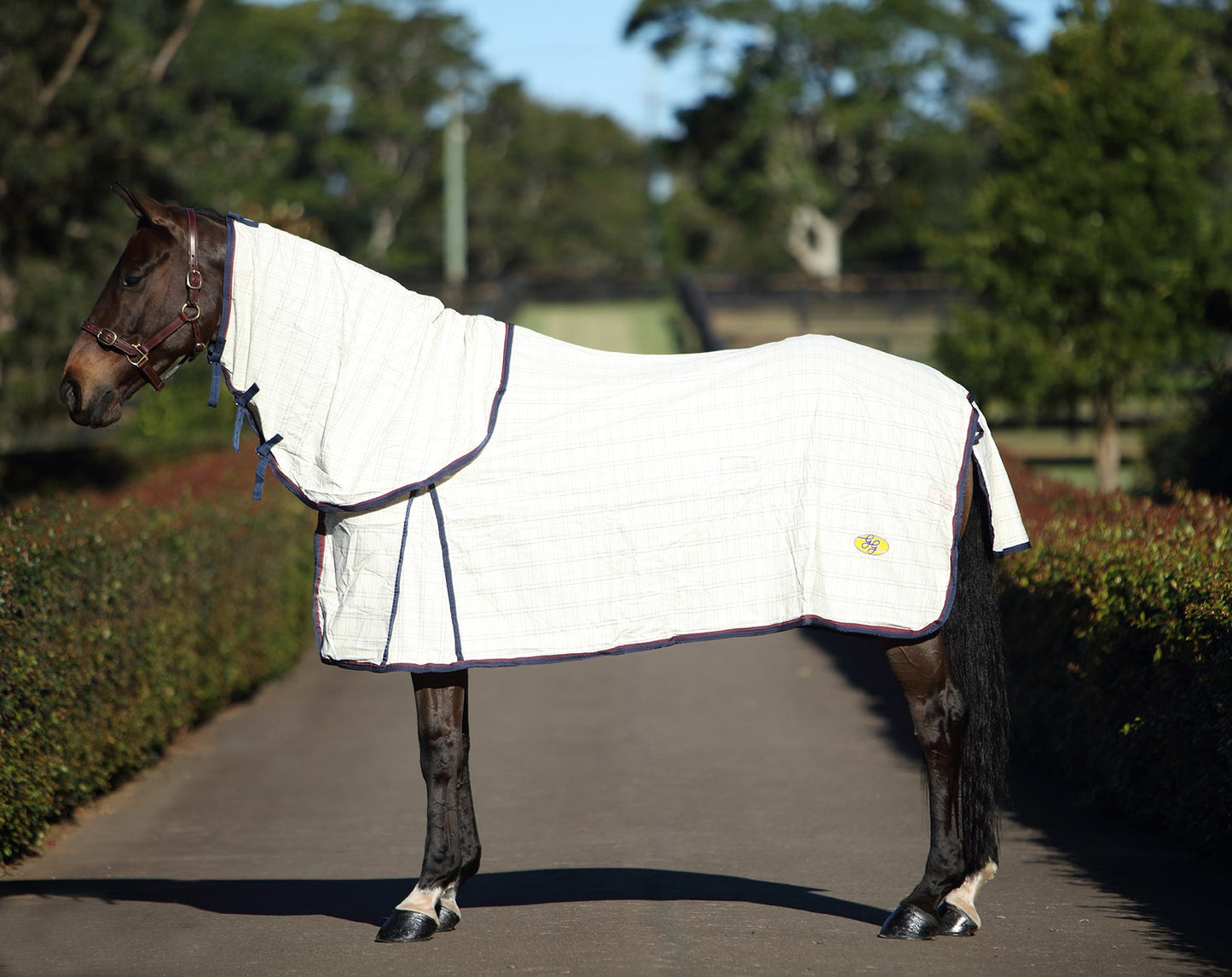 GG Australia Heavy Duty Tear-Stop Horse Rug Combo