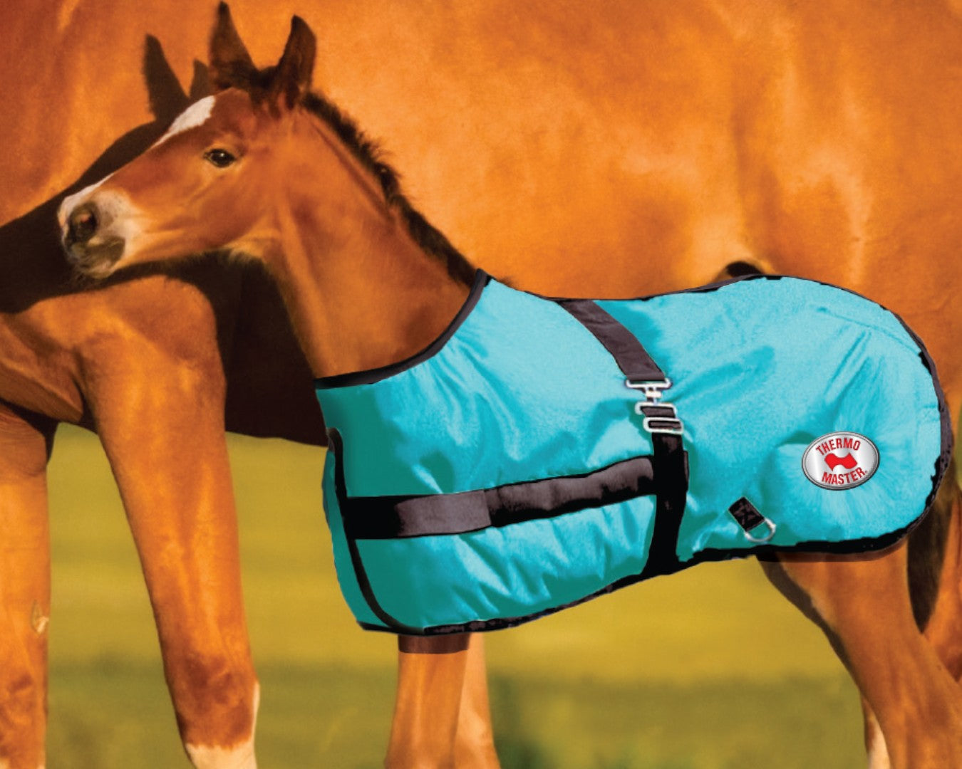 Thermo Master 600D 200G Fill Growing Foal Rug