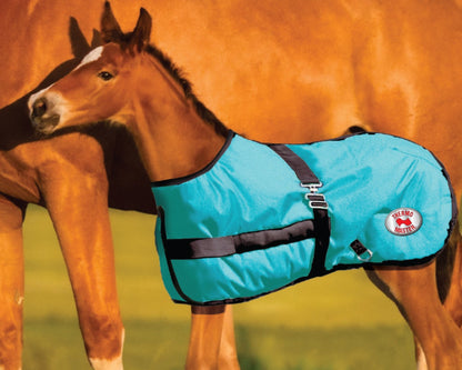 Thermo Master 600D 200G Fill Growing Foal Rug