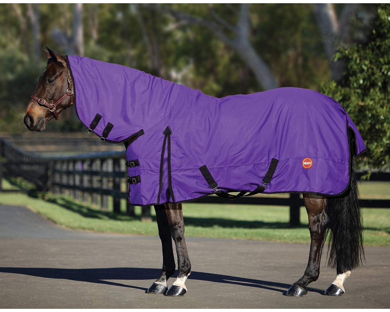 Kozy 600D Lite Rainsheet Horse Rug Combo - Purple