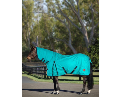 Kozy 1200D Rainsheet Horse Rug Combo - Turquoise