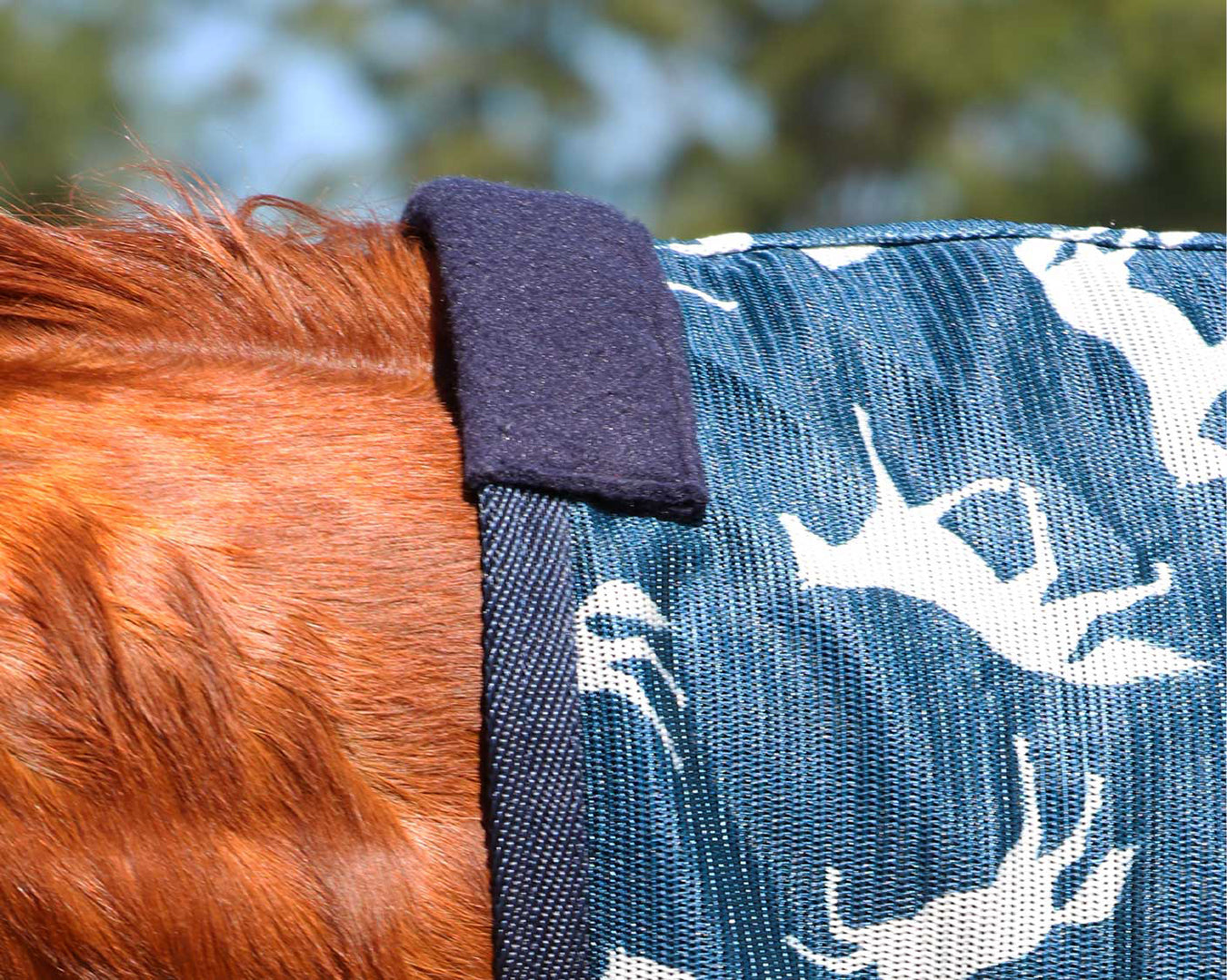 Horsemaster Fly Mesh Horse Print Combo