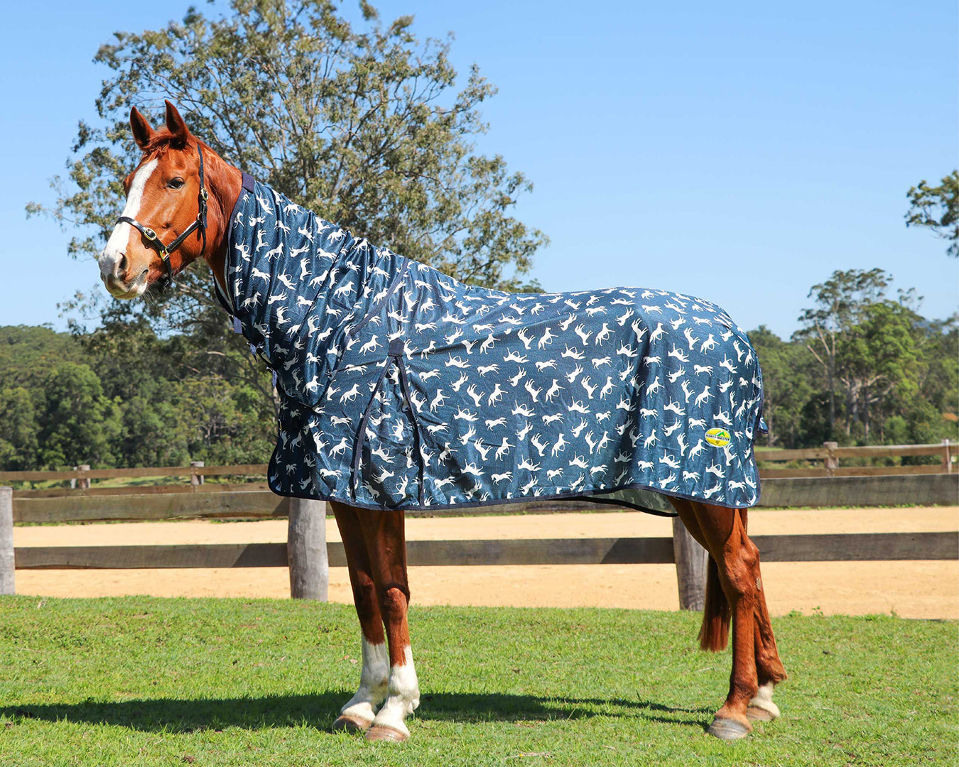 Horsemaster Fly Mesh Horse Print Combo