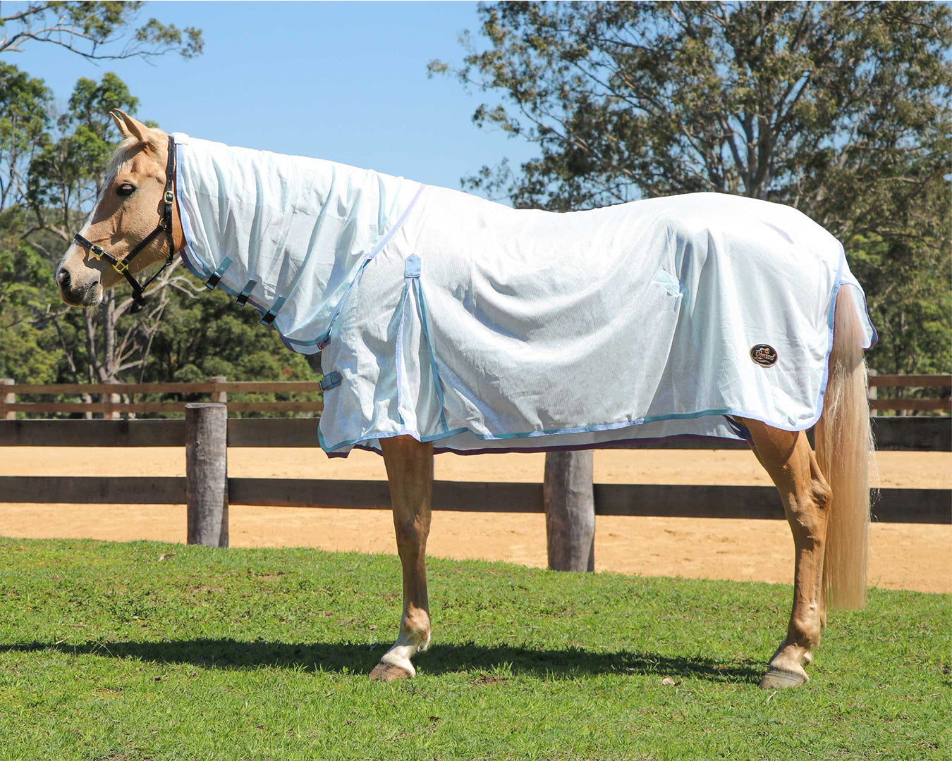 Conrad Fly Mesh Horse Rug Combo