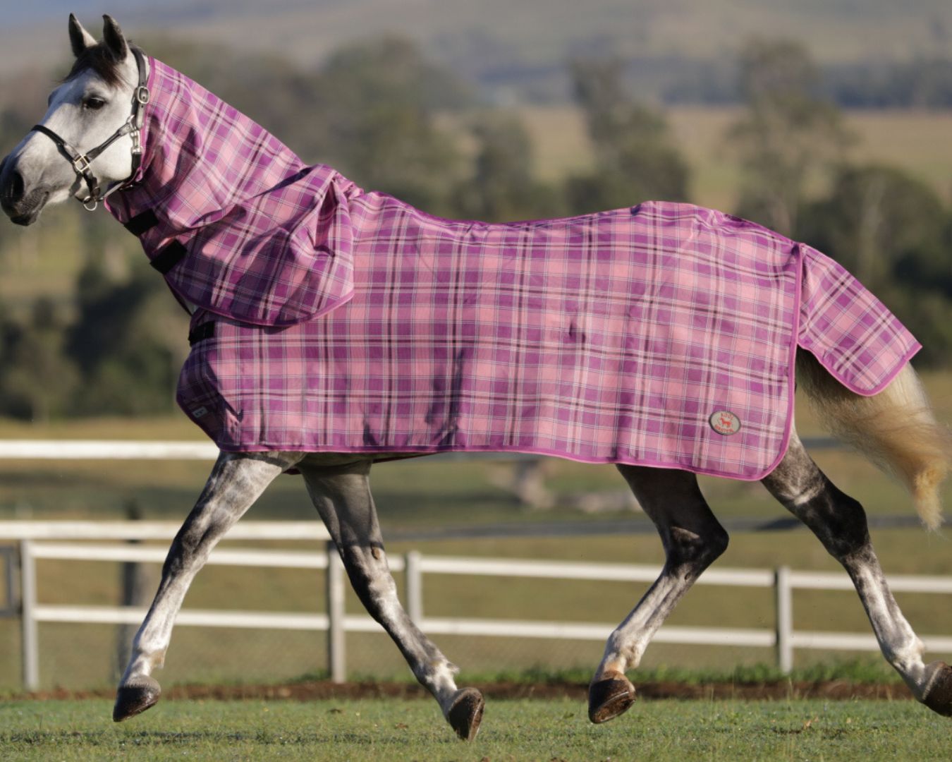 Kool Master PVC Shade Mesh Horse Rug Combo - Pink & Purple