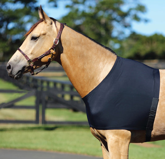 Horsemaster Lycra Shoulder Guard