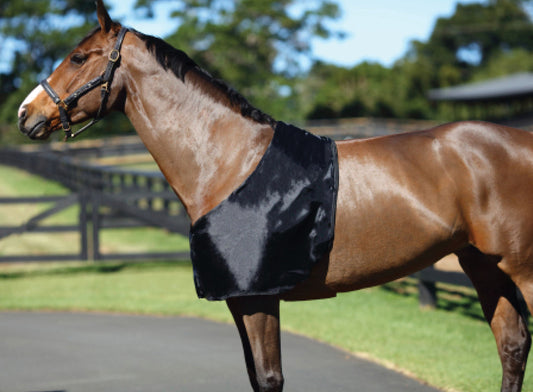 Satin Rug Bib