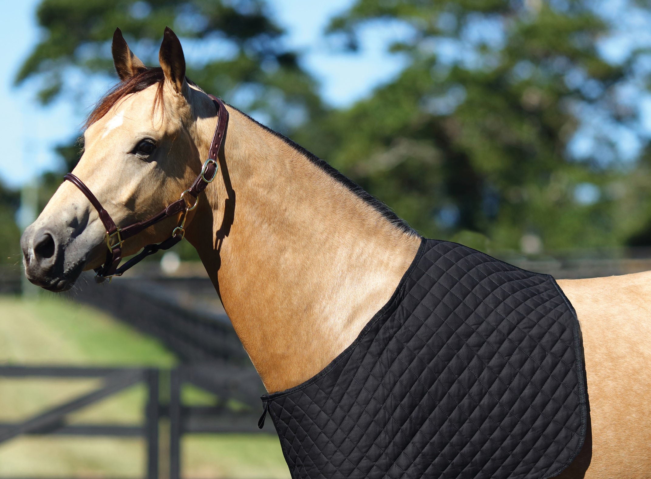 Horse Rugs & Accessories