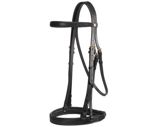 Jeremy & Lord Dressage Bridle