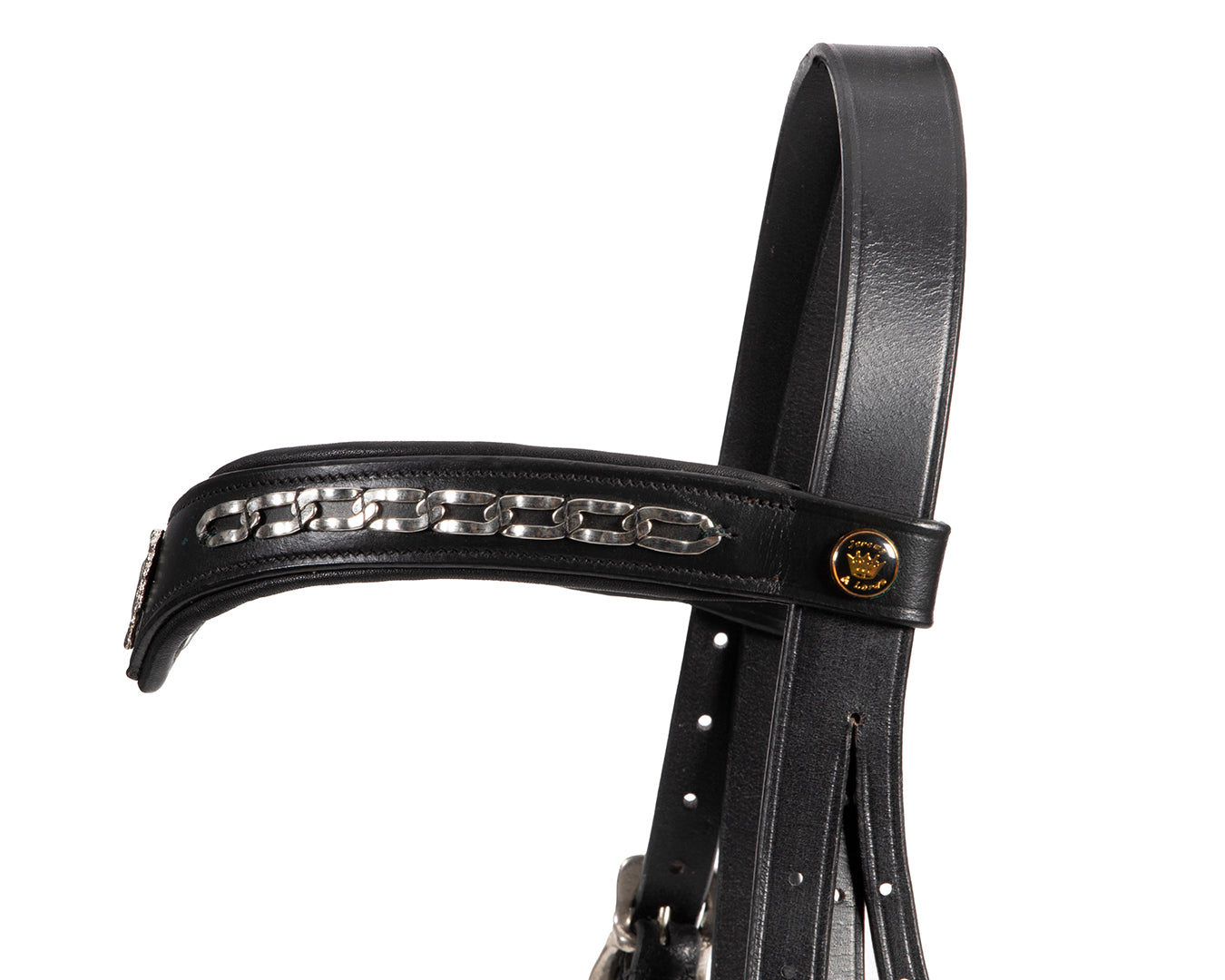 Jeremy & Lord "V" Dressage Bridle