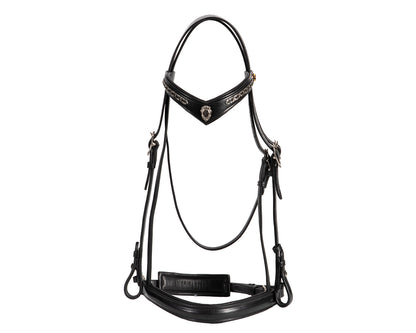 Jeremy & Lord "V" Dressage Bridle