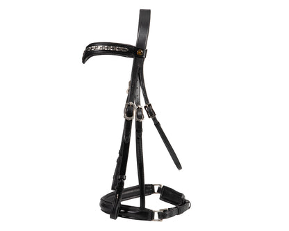 Jeremy & Lord "V" Dressage Bridle