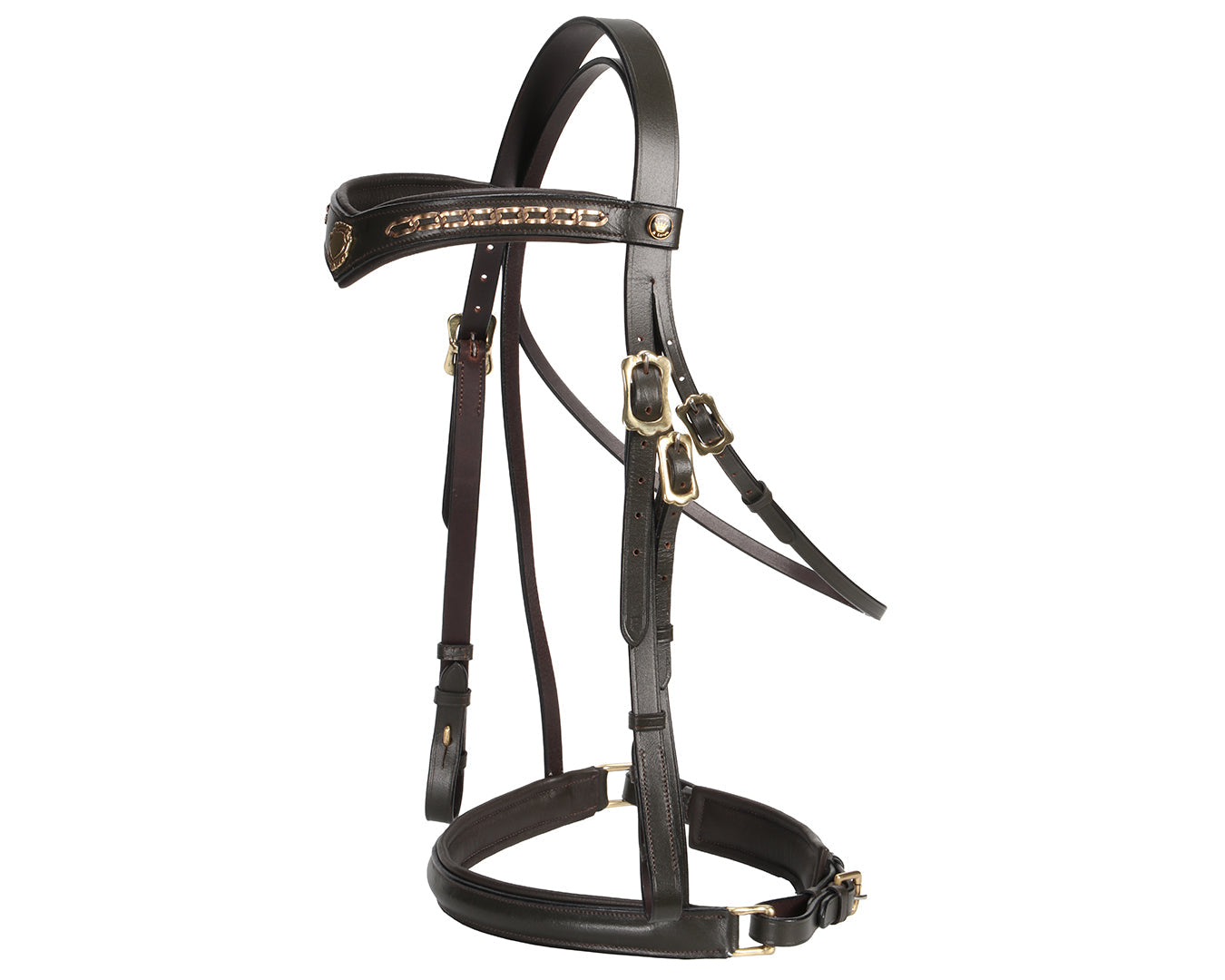 Jeremy & Lord "V" Dressage Bridle