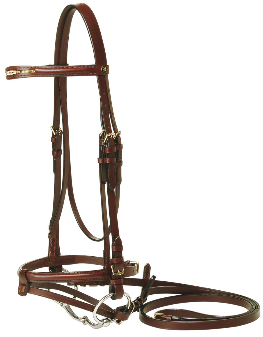 Jeremy & Lord Prestige Bridle