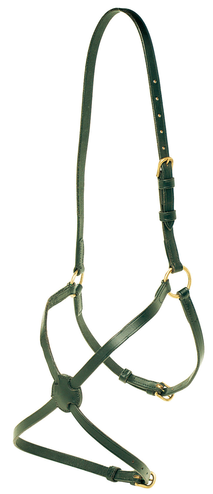 Jeremy & Lord Grackle Noseband