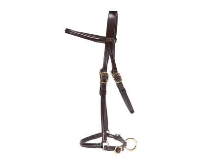 Hansome In-Hand Halter