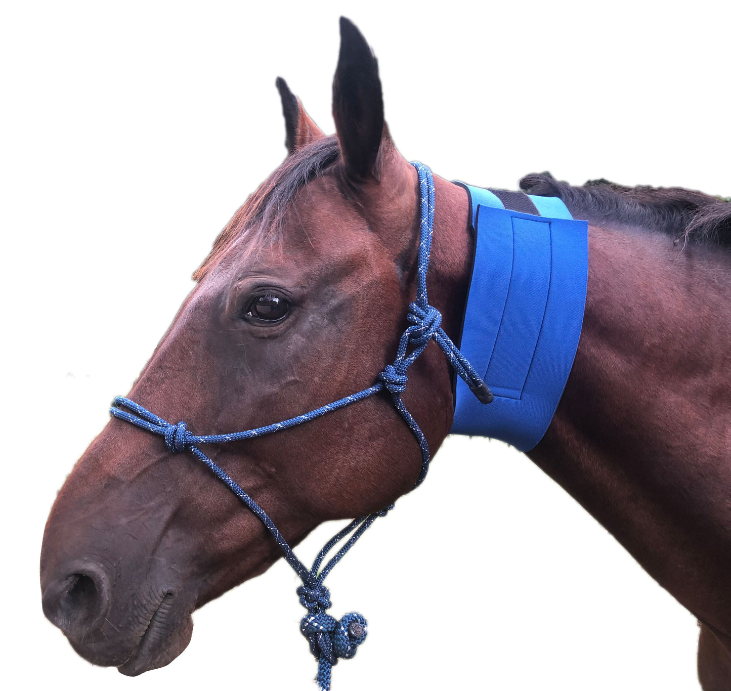 Equi-Prene 127mm Jowl Sweat